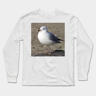 Sea Gull on English Beach, Vancouver, Canada Long Sleeve T-Shirt